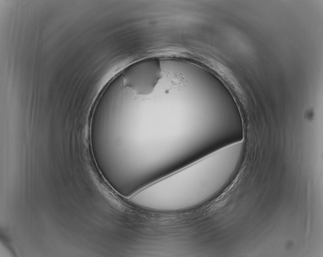 X0000095891234200801110821