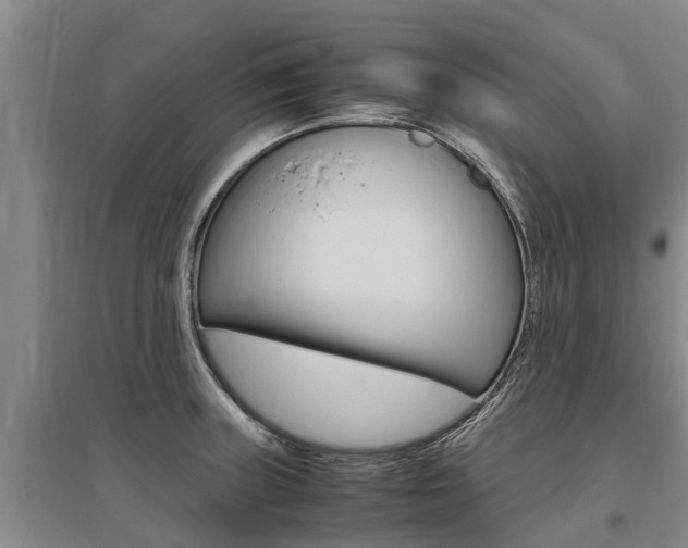 X0000095891235200801110821