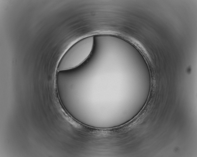 X0000095891236200801110821