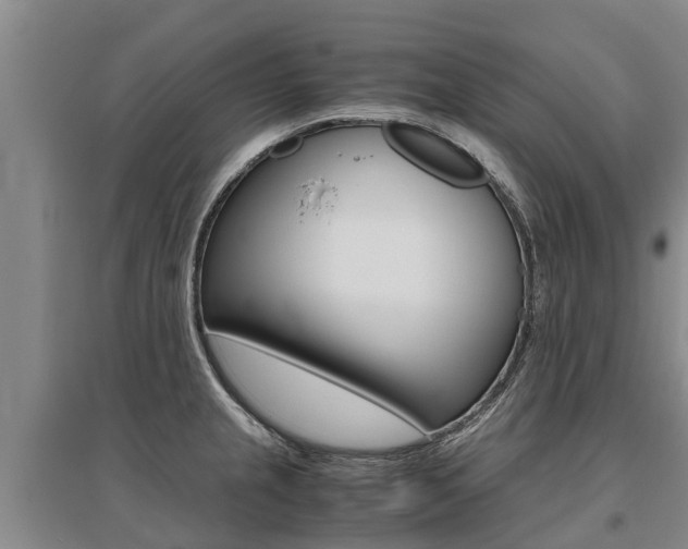 X0000095891237200801110821