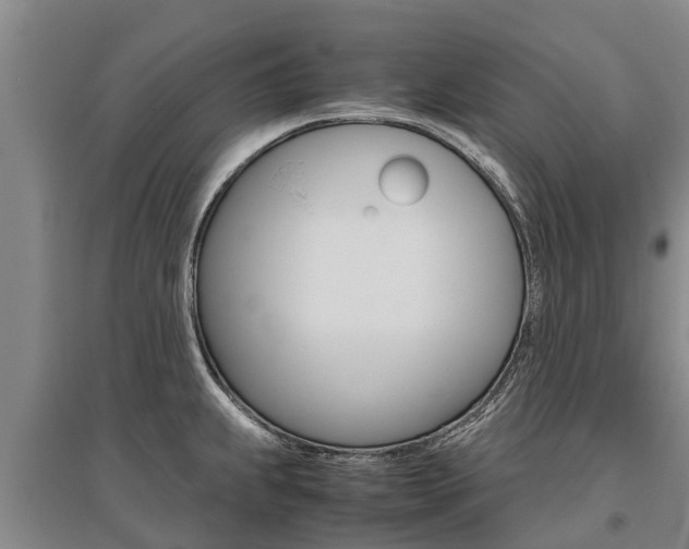 X0000095891239200801110821