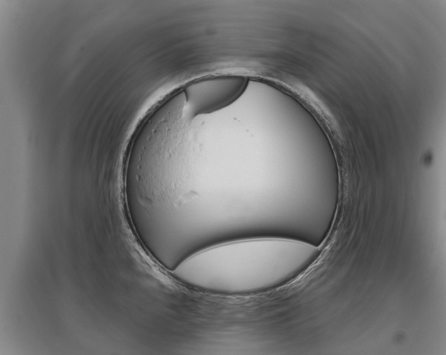 X0000095891240200801110821
