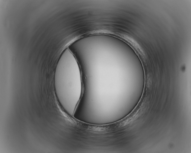 X0000095891241200801110821