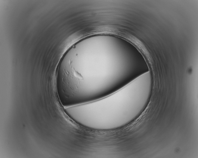 X0000095891242200801110821