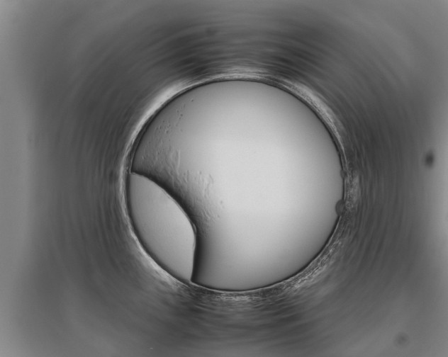 X0000095891243200801110821
