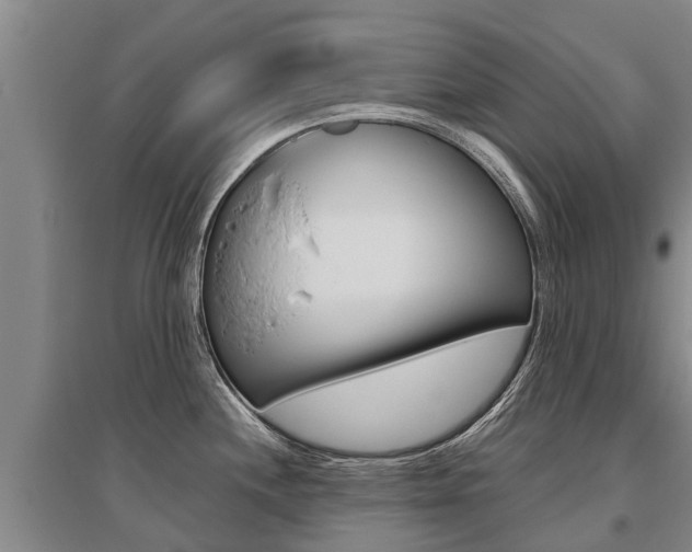 X0000095891244200801110821