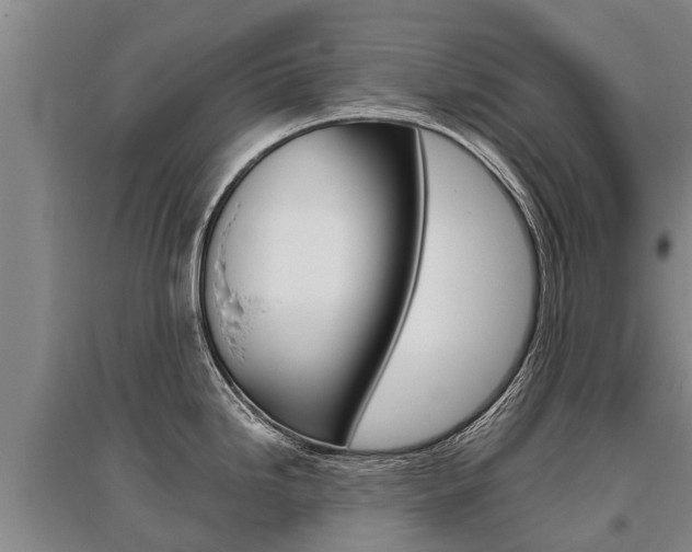X0000095891246200801110821