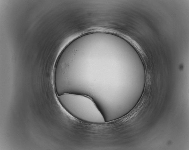 X0000095891247200801110821