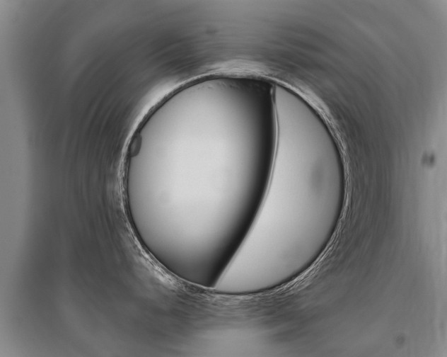 X0000095891248200801110821