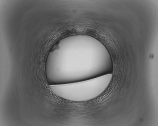 X0000095891249200801110820