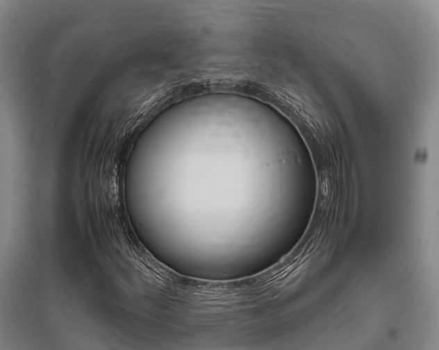 X0000095891252200801110820