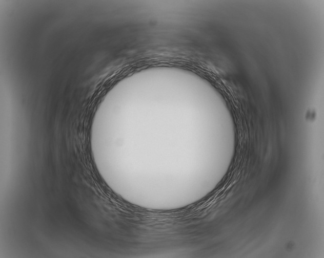 X0000095891253200801110820