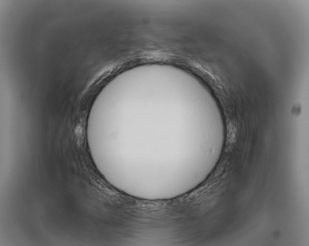 X0000095891254200801110820