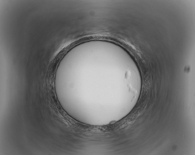 X0000095891255200801110820