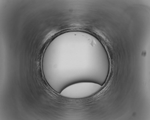 X0000095891259200801110820