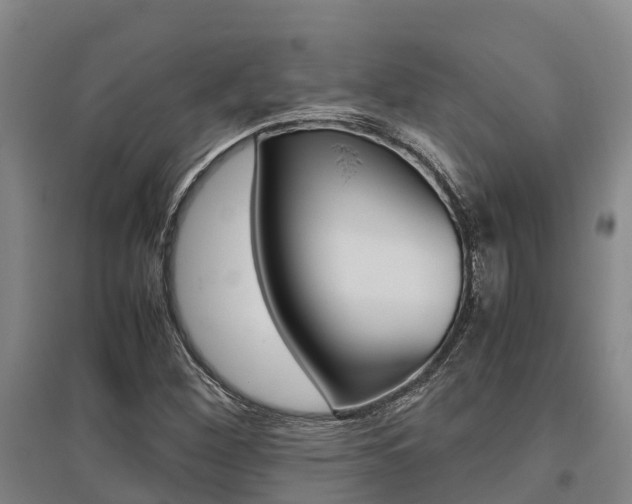 X0000095891260200801110820