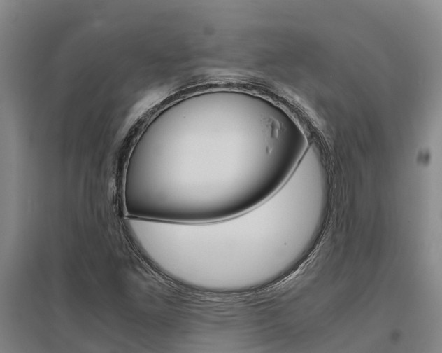 X0000095891261200801110820