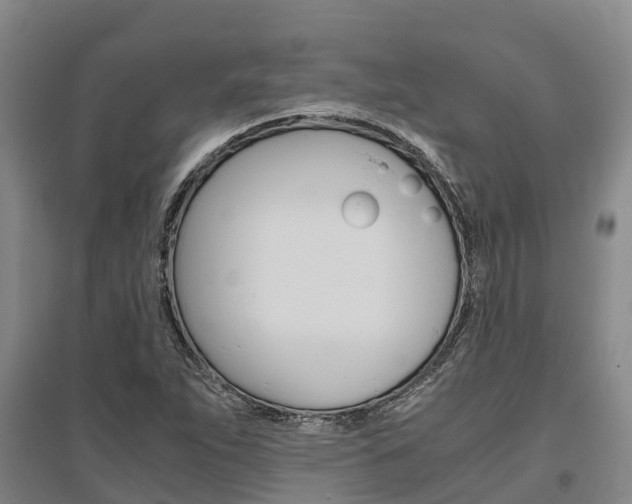 X0000095891263200801110820