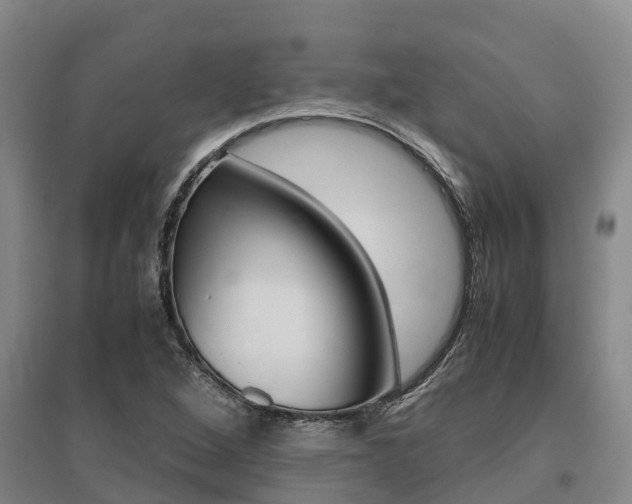 X0000095891264200801110820