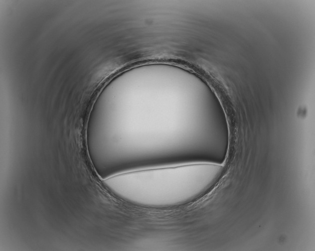X0000095891265200801110820