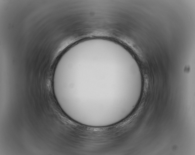 X0000095891266200801110820