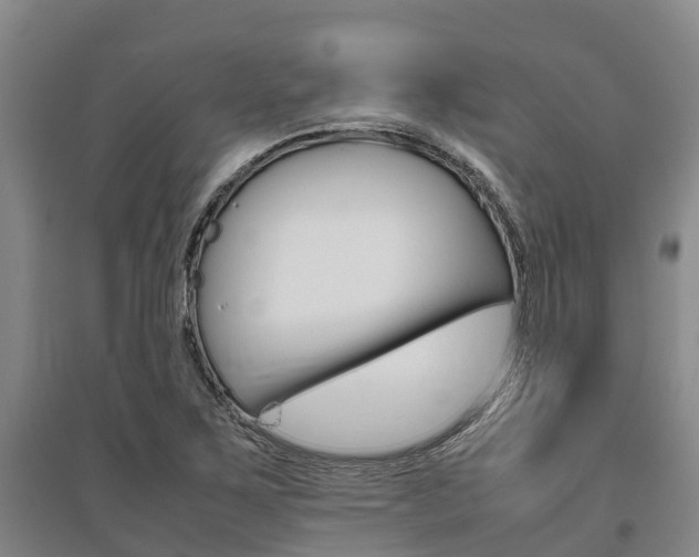 X0000095891267200801110820