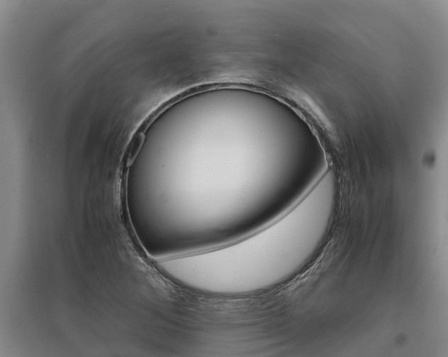 X0000095891268200801110820