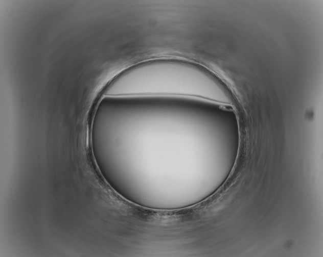 X0000095891269200801110820