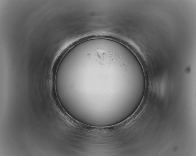 X0000095891270200801110820