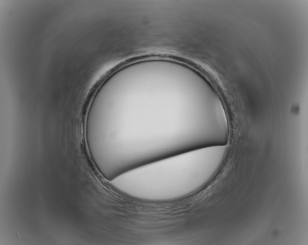 X0000095891271200801110820