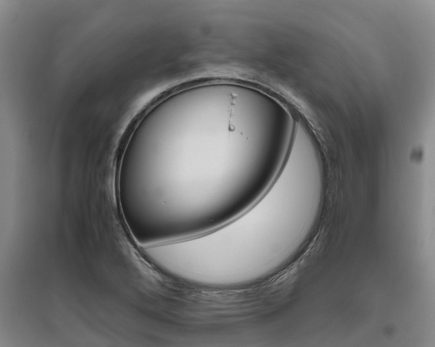 X0000095891272200801110820