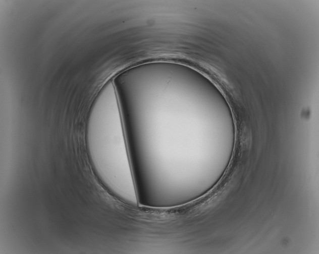 X0000095891273200801110820