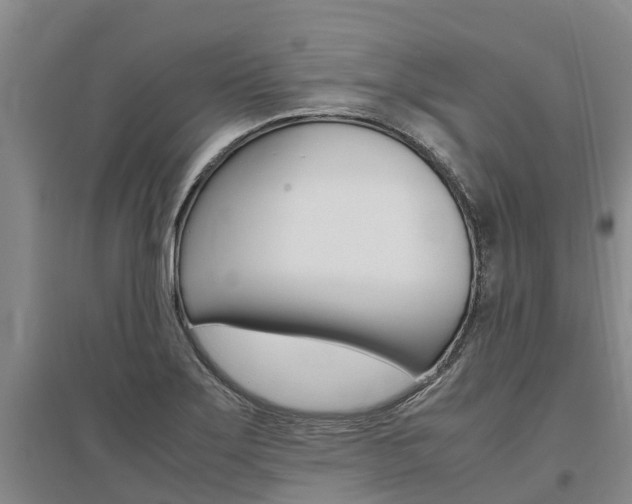 X0000095891275200801110820