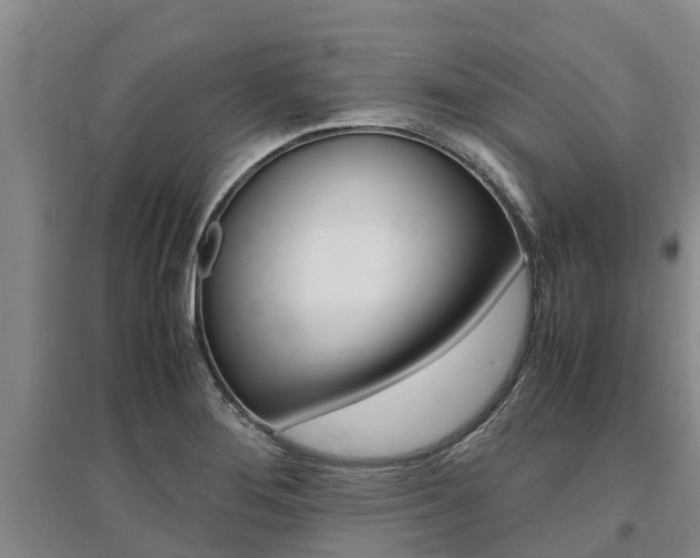 X0000095891276200801110820