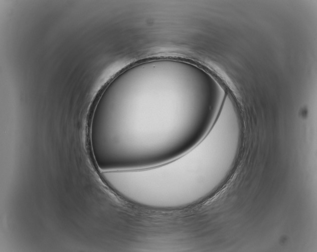 X0000095891277200801110820