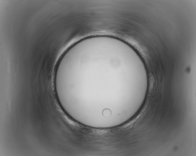 X0000095891278200801110820
