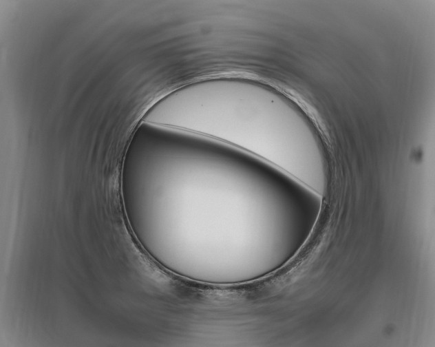X0000095891281200801110820