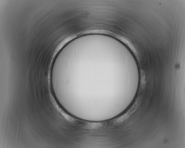 X0000095891282200801110820
