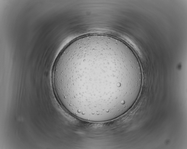 X0000095891283200801110820