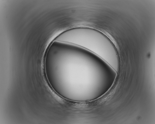 X0000095891285200801110820