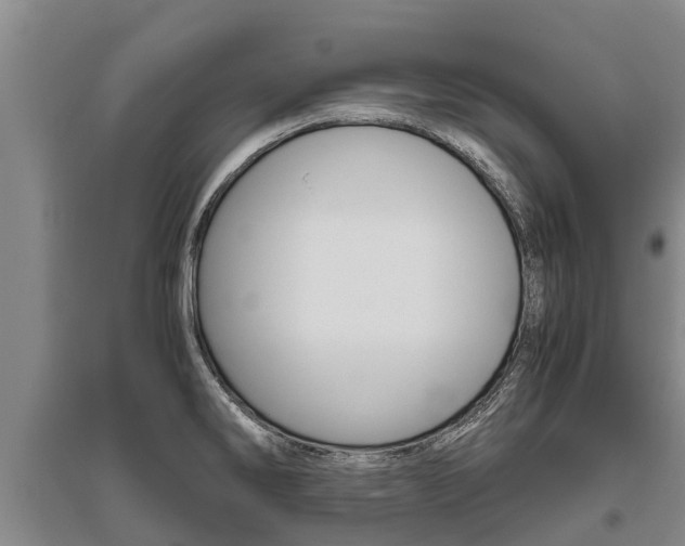 X0000095891286200801110820