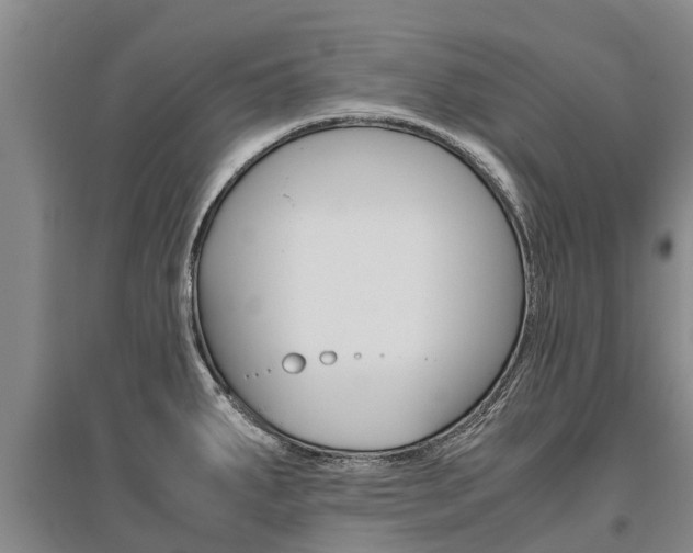 X0000095891287200801110820