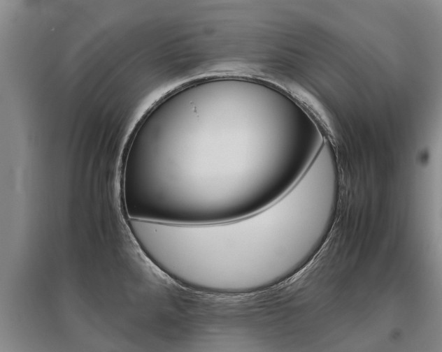 X0000095891288200801110820