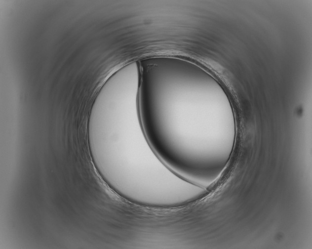 X0000095891289200801110820