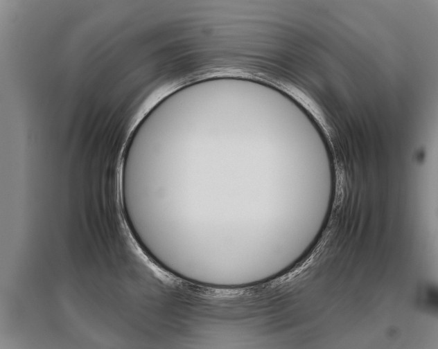 X0000095891290200801110820
