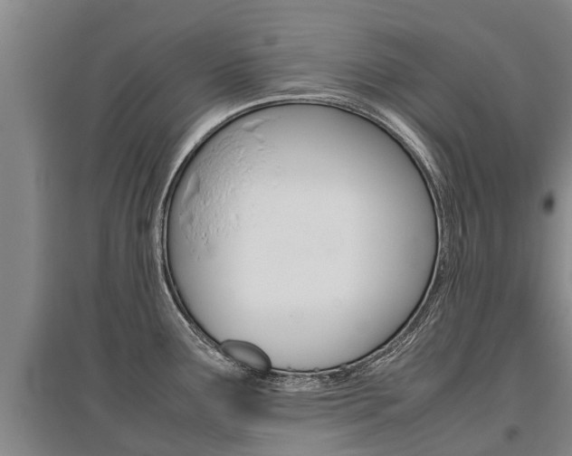 X0000095891291200801110820