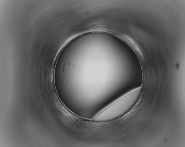 X0000095891292200801110819