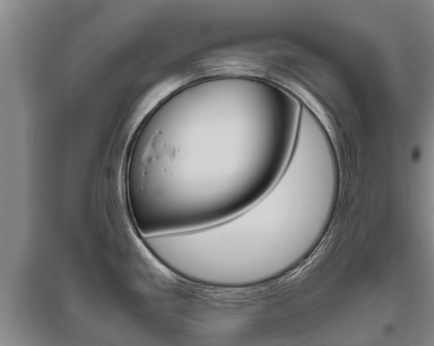 X0000095891293200801110819