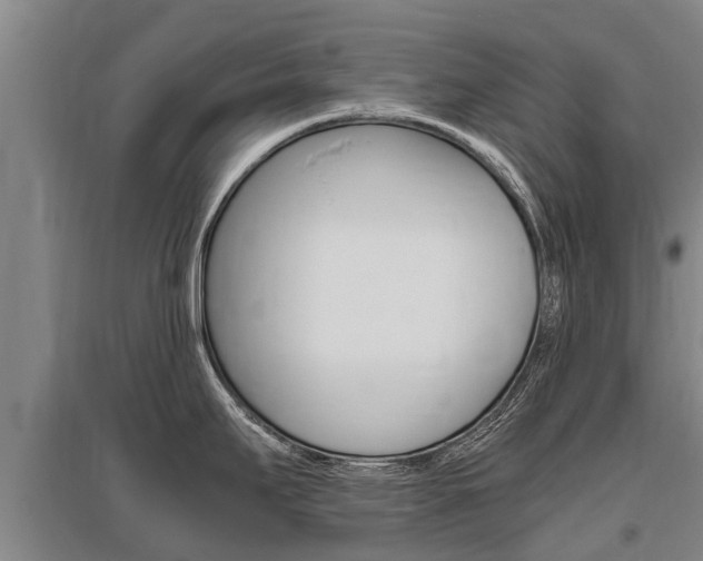 X0000095891295200801110819