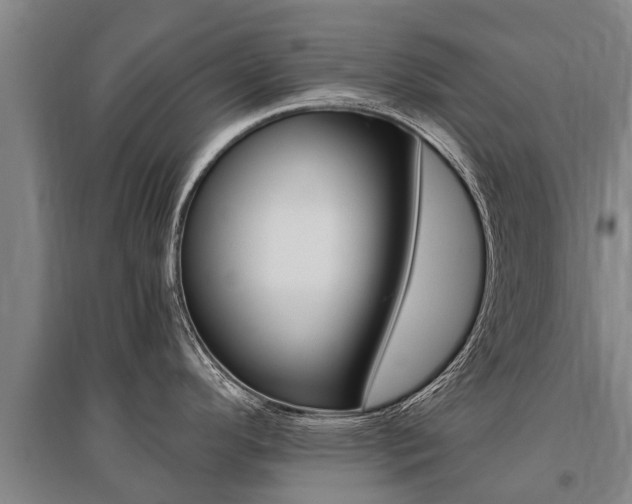 X0000095891296200801110819